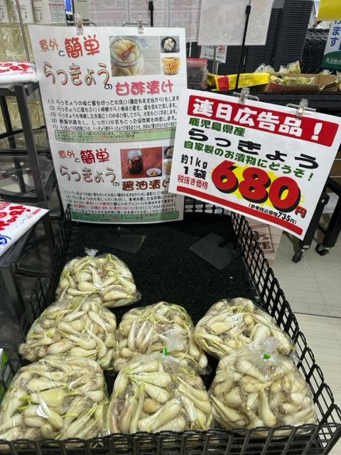 らっきょう②.jpg