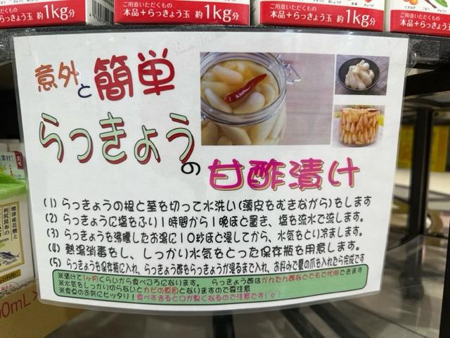 らっきょう③.jpg