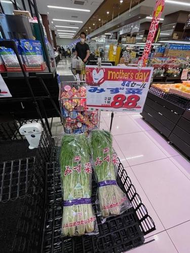 母の日みず菜.jpg