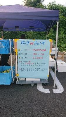 2020.9ジェンガ②.JPG