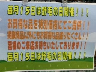 image9.jpeg