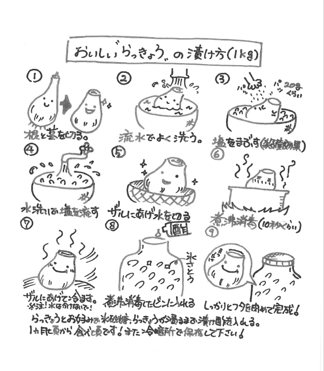 5-6月らっきょ.png