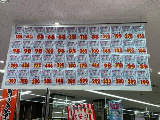 image1.jpeg