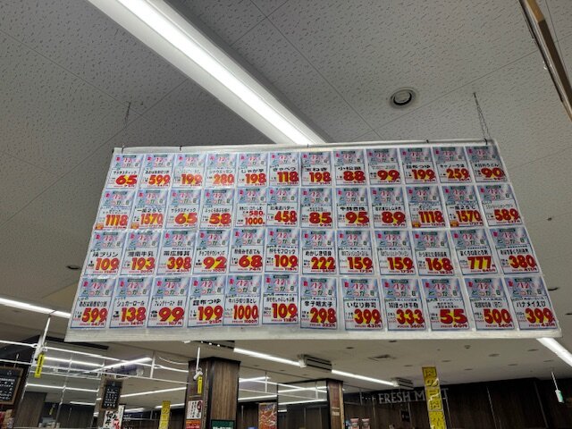 image1.jpeg